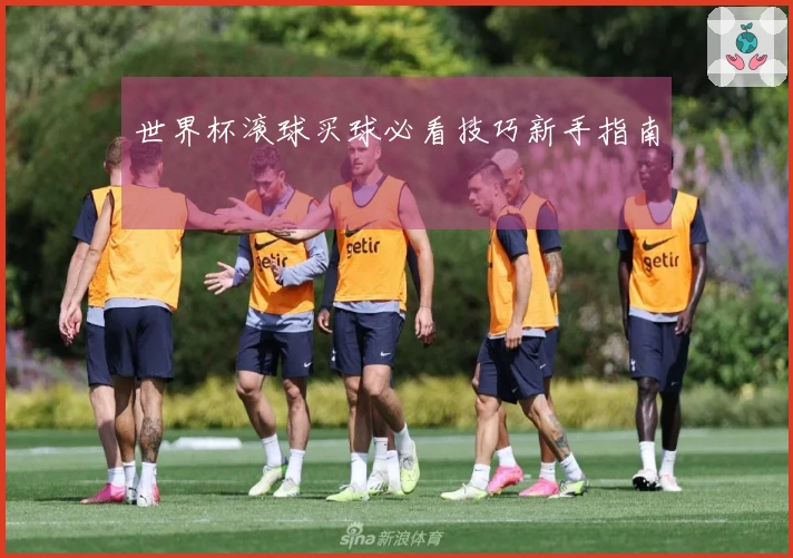 世界杯滚球买球必看技巧新手指南