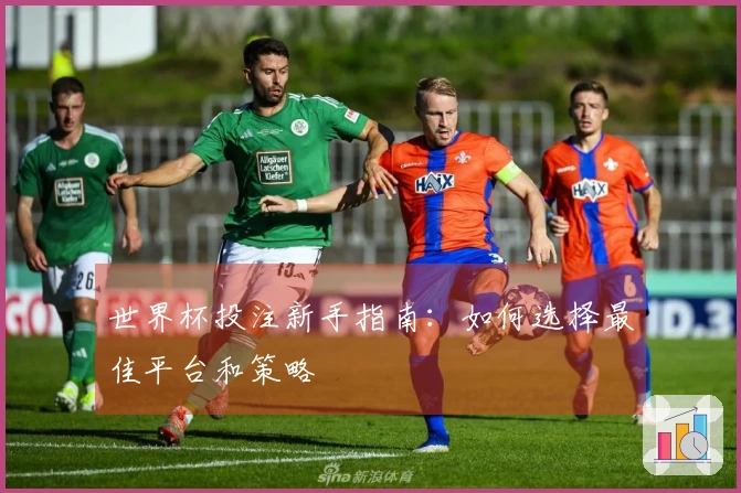 世界杯投注新手指南：如何选择最佳平台和策略