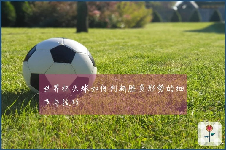 世界杯买球如何判断胜负形势的细节与技巧
