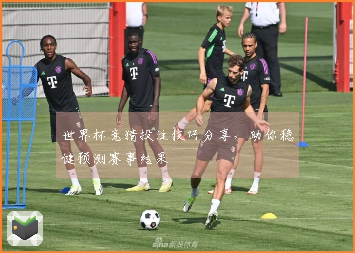 世界杯竞猜投注技巧分享，助你稳健预测赛事结果
