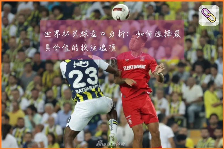 世界杯买球盘口分析：如何选择最具价值的投注选项