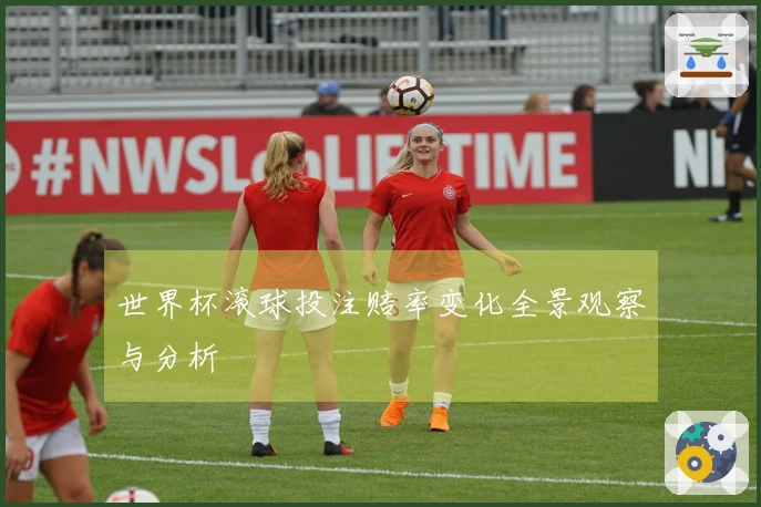世界杯滚球投注赔率变化全景观察与分析