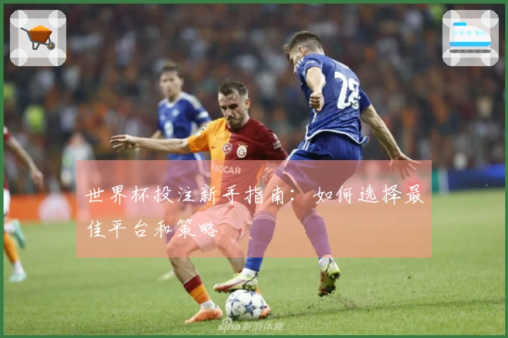 世界杯投注新手指南：如何选择最佳平台和策略